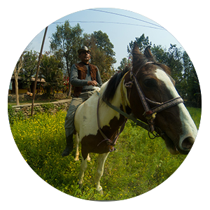 horse-riding horse-riding